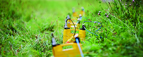 Wires in a field of grass